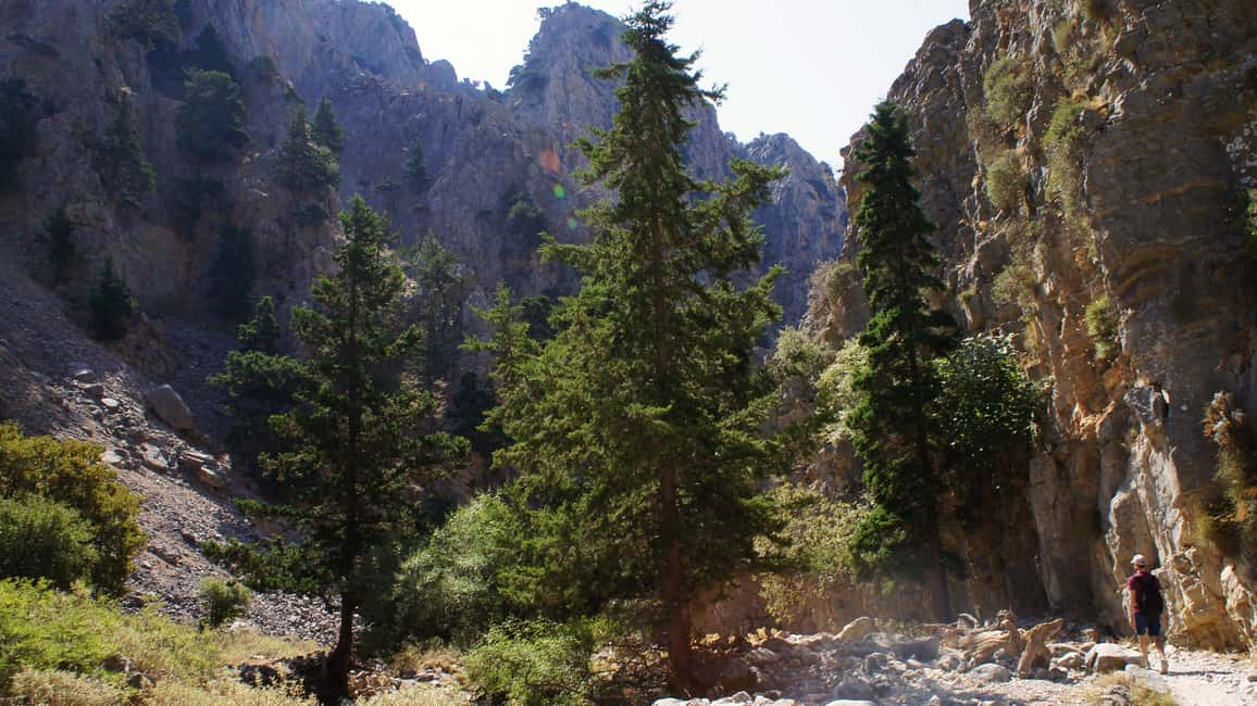 image n.10 of From Rethymno: Imbros Gorge & Libyan Guided Sea Tour activity in Crete, uploaded by supplier