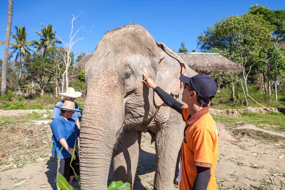 image n.21 of Chiang Mai: Small Group Ethical Elephant Sanctuary Tour activity in Chiang Mai, uploaded by supplier