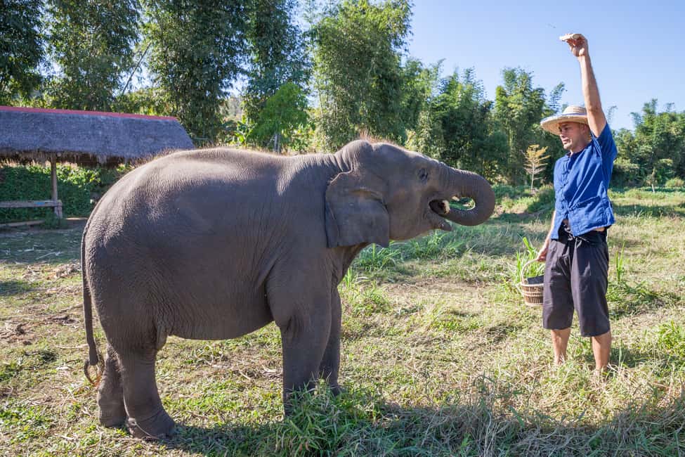 image n.26 of Chiang Mai: Small Group Ethical Elephant Sanctuary Tour activity in Chiang Mai, uploaded by supplier