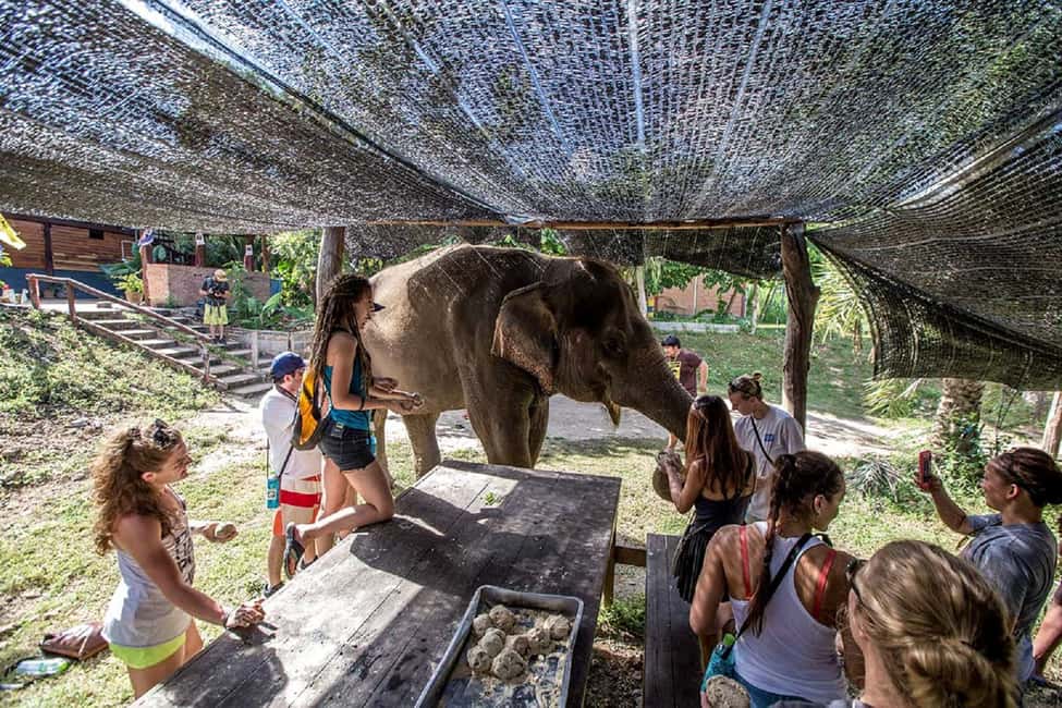 image n.12 of From Bangkok: Elephant Sanctuary and Kanchanaburi Tour activity in Central Thailand, uploaded by supplier