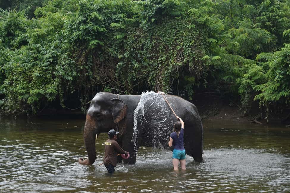 image n.16 of From Bangkok: Elephant Sanctuary and Kanchanaburi Tour activity in Central Thailand, uploaded by supplier