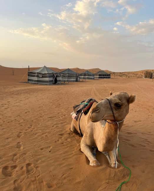 Immagine nº 8 di Avventura nel deserto di Wahiba , Nuoto nel Wadi Bani Khalid attività a Regione al-Sharqiyya, caricata dal fornitore