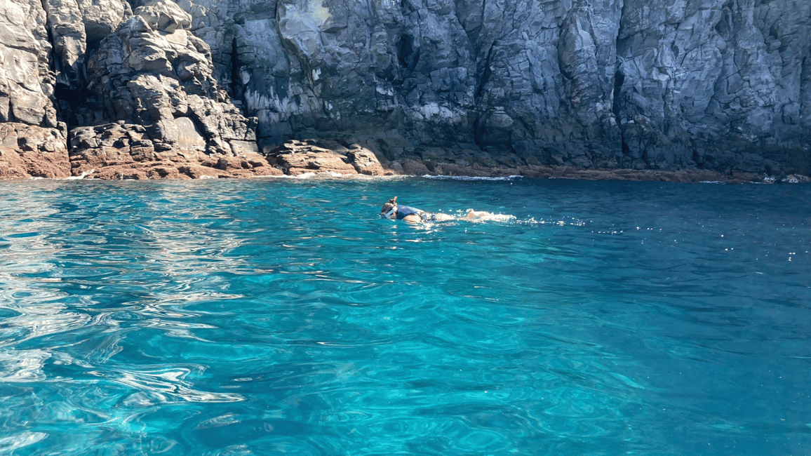 image n.13 of Los Cristianos: Kayak & Snorkel Tour with turtles and photos included activity in Arona, Tenerife, uploaded by supplier