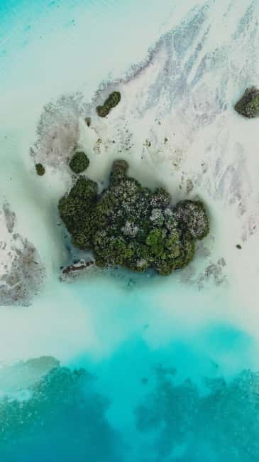 image n.3 of Bacalar Lagoon Sailing Tour with Open Bar and Mexican Lunch activity in Bacalar, uploaded by supplier
