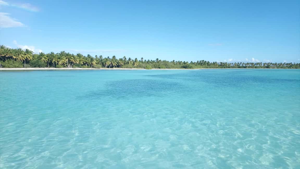 image n.13 of Saona Island: Beach & Natural Pool Small-Group Tour w/ Lunch activity in La Romana (Province), uploaded by supplier