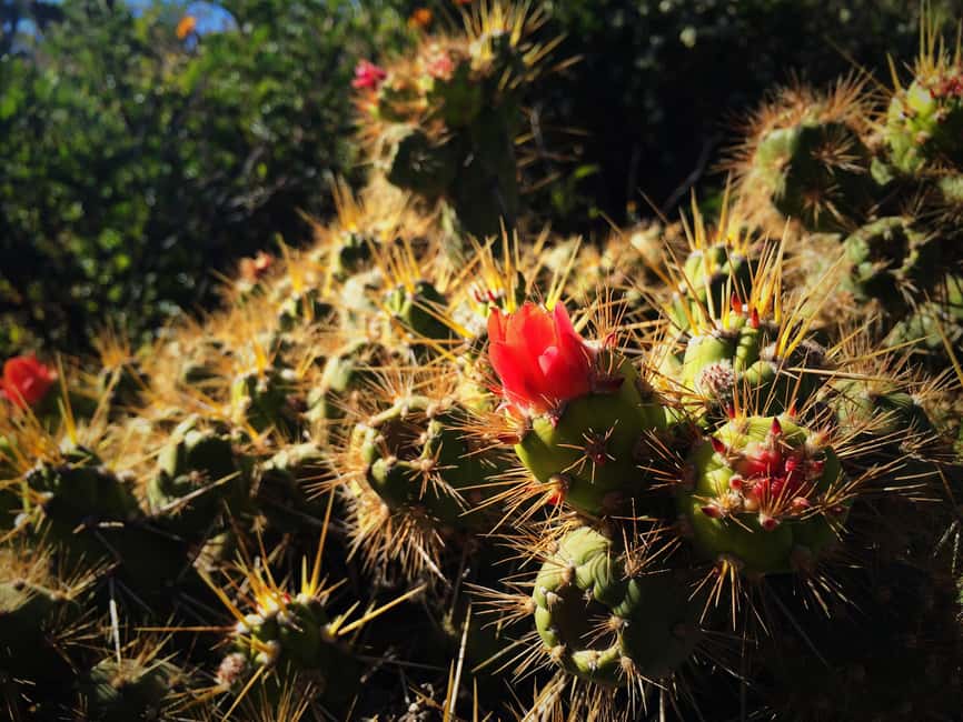 image n.3 of From Arequipa: 3-Day Colca Canyon Trek activity in Arequipa Region, uploaded by supplier