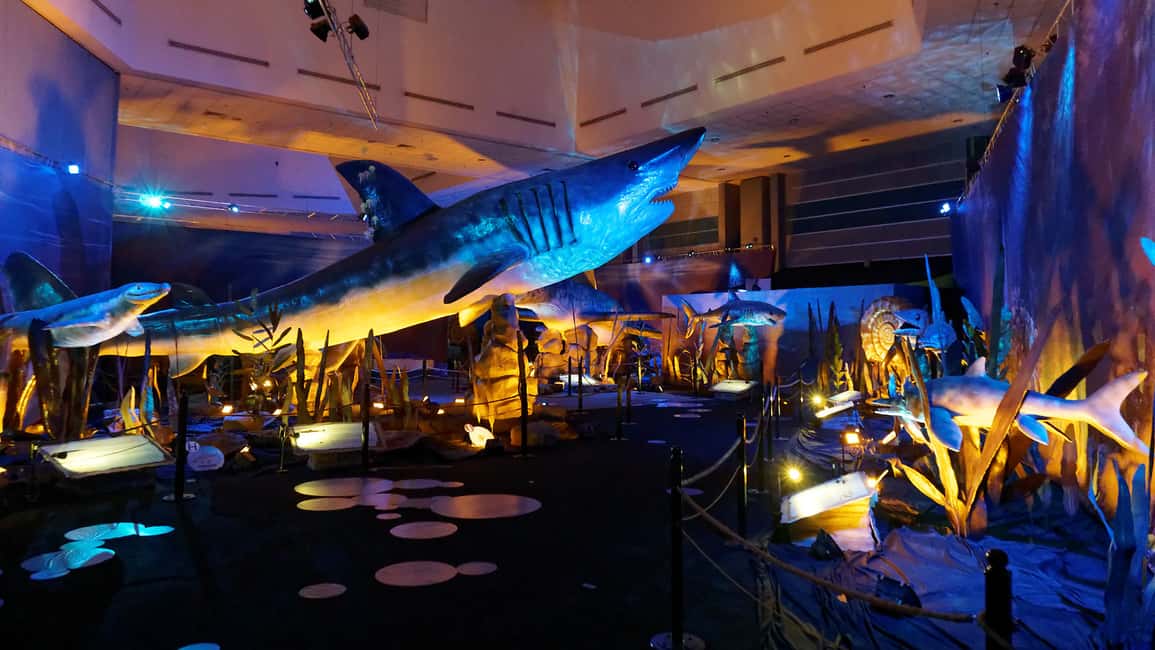 image n.5 of Singapore: Science Center E-Ticket activity in Singapore, uploaded by supplier