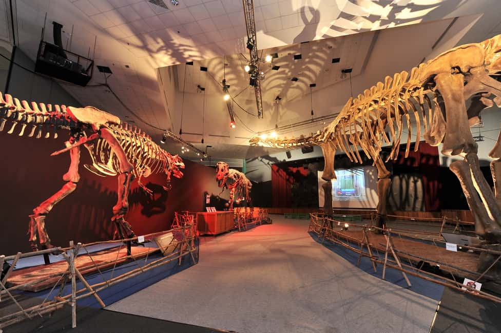 image n.2 of Singapore: Science Center E-Ticket activity in Singapore, uploaded by supplier