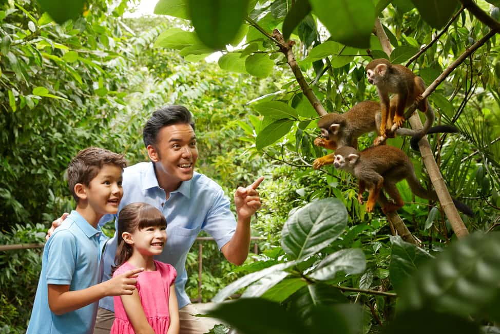 imagen n.º 2 de Zoo de Singapur: Ticket electrónico de entrada de 1 día actividad en Singapur, subida por el proveedor