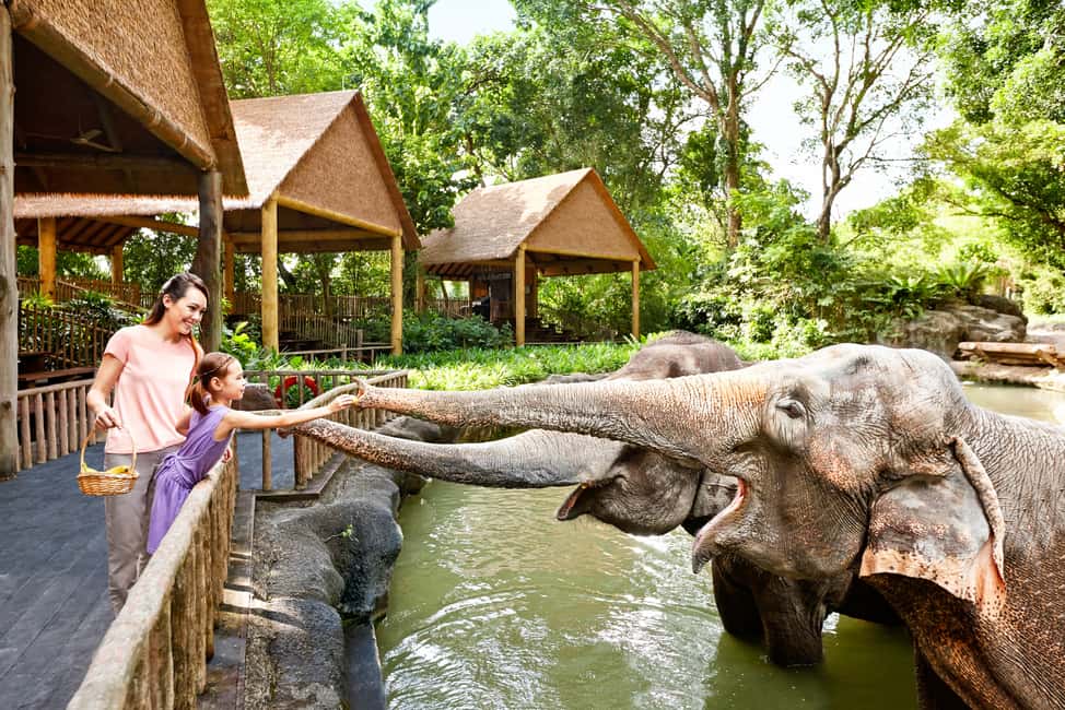 imagen n.º 4 de Zoo de Singapur: Ticket electrónico de entrada de 1 día actividad en Singapur, subida por el proveedor