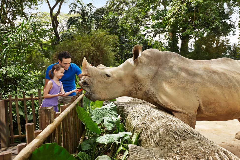 imagen n.º 3 de Zoo de Singapur: Ticket electrónico de entrada de 1 día actividad en Singapur, subida por el proveedor