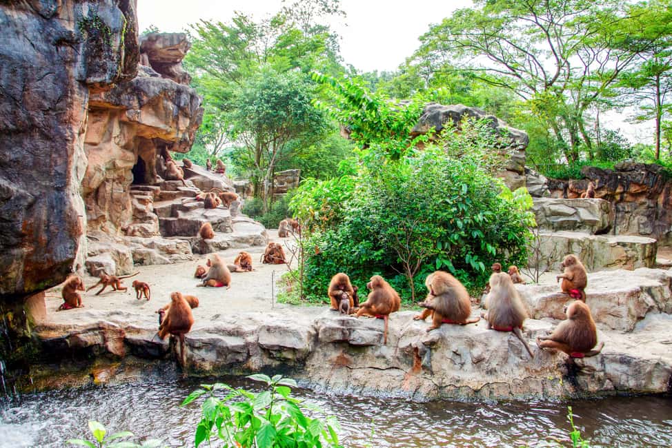 imagen n.º 5 de Zoo de Singapur: Ticket electrónico de entrada de 1 día actividad en Singapur, subida por el proveedor