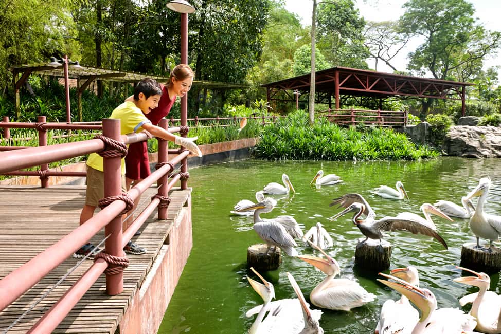 imagen n.º 6 de Zoo de Singapur: Ticket electrónico de entrada de 1 día actividad en Singapur, subida por el proveedor