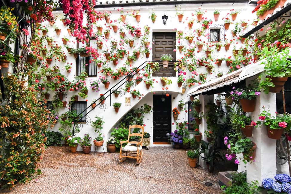 afbeelding n.7 van Córdoba: Rondleiding langs de patio's activiteit in Córdoba, geüpload door aanbieder