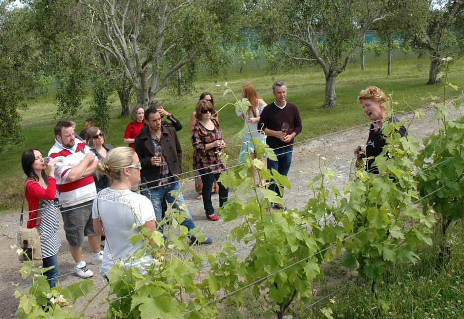 image n.12 of Waiheke Island: The Essence of Waiheke Wine Tour activity in North Island, uploaded by supplier