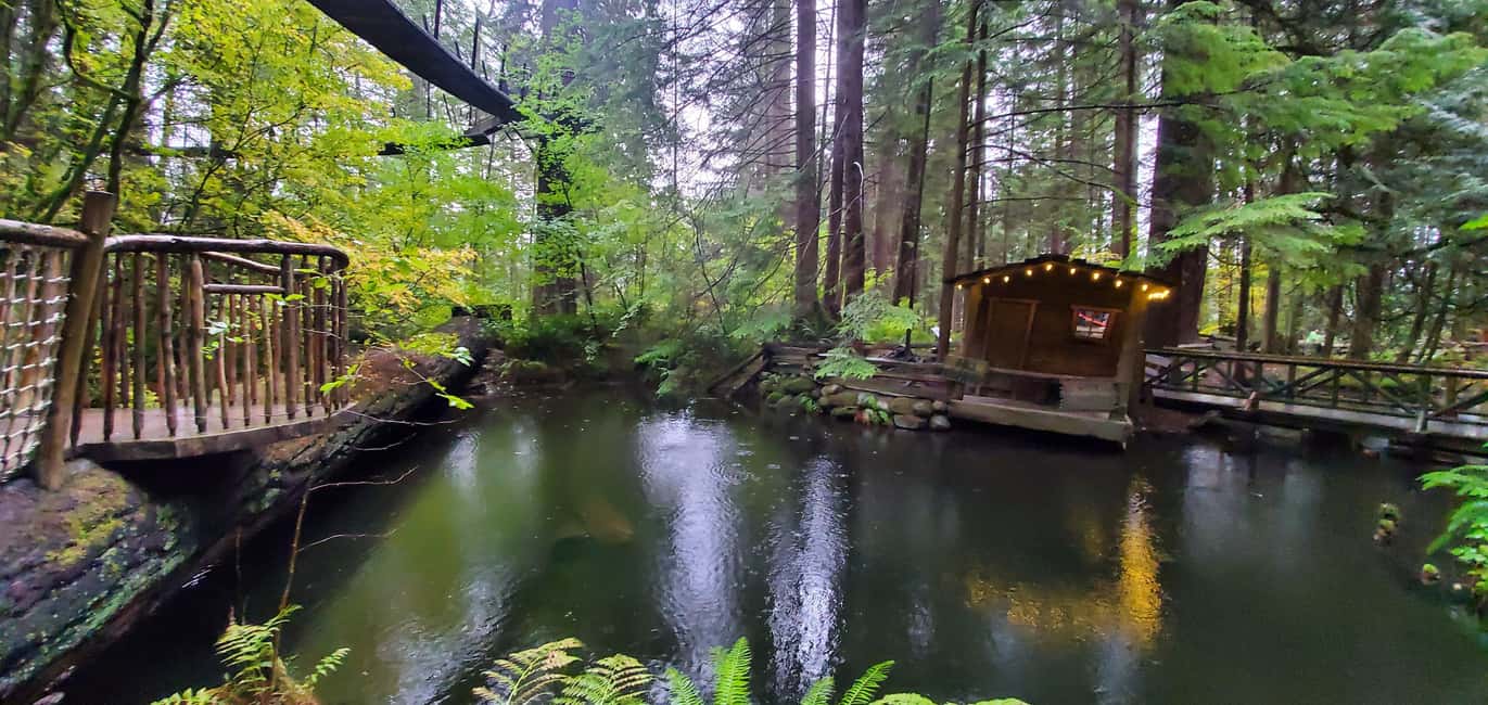 image n.7 of Capilano Bridge, Grouse Mountain, Stanley Park & Gastown activity in Vancouver, uploaded by supplier