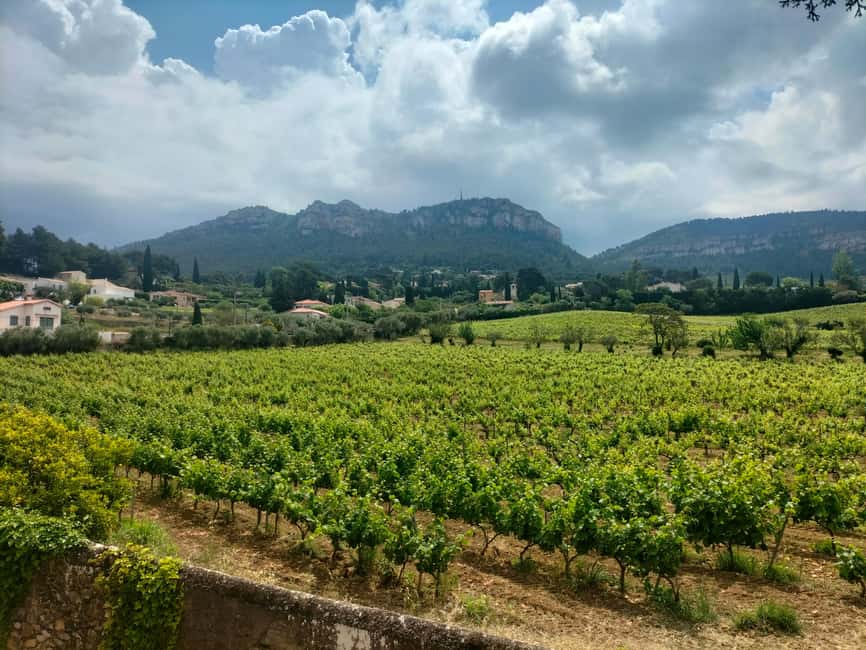 imagem n.35 de A riqueza da Provença num só dia - viagem privada personalizável atividade em Les Baux-de-Provence, carregada pelo fornecedor