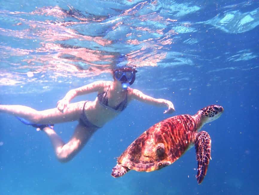 Immagine nº 7 di Da Al-Seeb: gita in barca alle isole Dimaniyat con snorkeling attività a Seeb, caricata dal fornitore