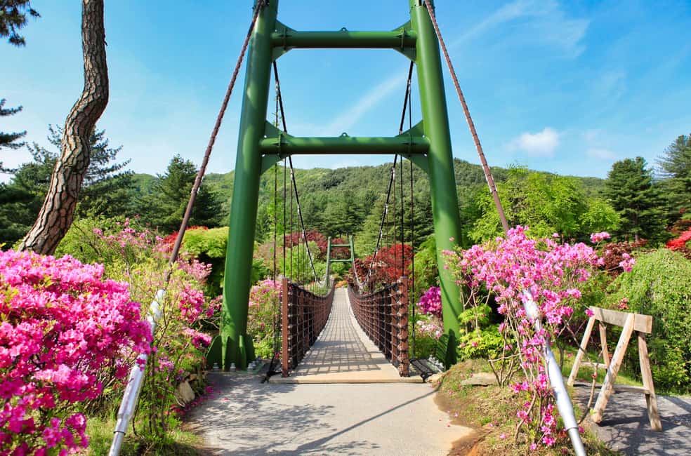 imagem n.11 de Seul: Ilha de Nami e Jardim da Manhã Calma (+Caminho de Ferro) atividade em Chuncheon, carregada pelo fornecedor