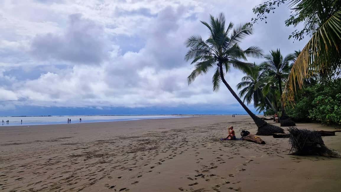 image n.4 of Uvita: Marino Ballena National Park Whale-Watching Tour activity in Jaco, uploaded by supplier