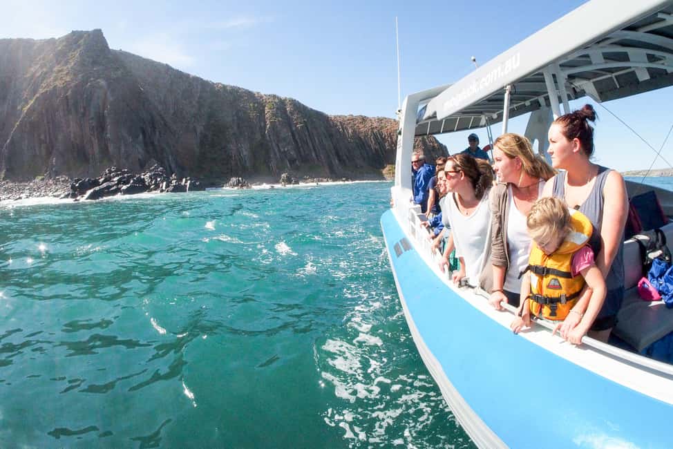image n.2 of Victor Harbor: Southern Ocean Adventure Cruise with Guide activity in Victor Harbor, uploaded by supplier