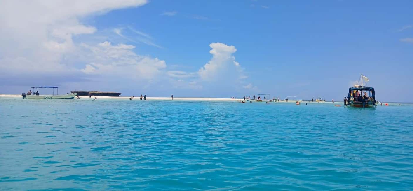 image n.1 of Mombasa: Wasini Dolphin Tour activity in Central Kenya, uploaded by supplier