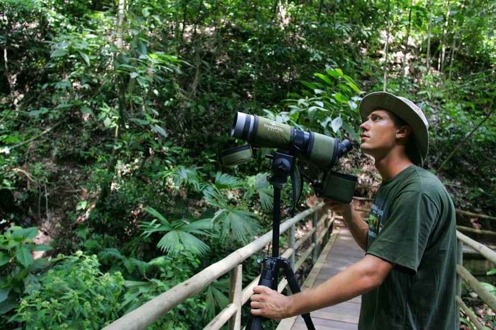bild nr.1 av Fågelskådningstur på Rainforest Adventures Braulio Carrillo aktivitet i Limón (provins), uppladdad av arrangören