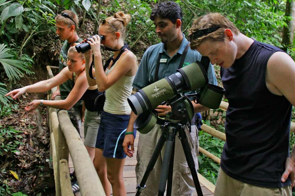 bild nr.4 av Fågelskådningstur på Rainforest Adventures Braulio Carrillo aktivitet i Limón (provins), uppladdad av arrangören
