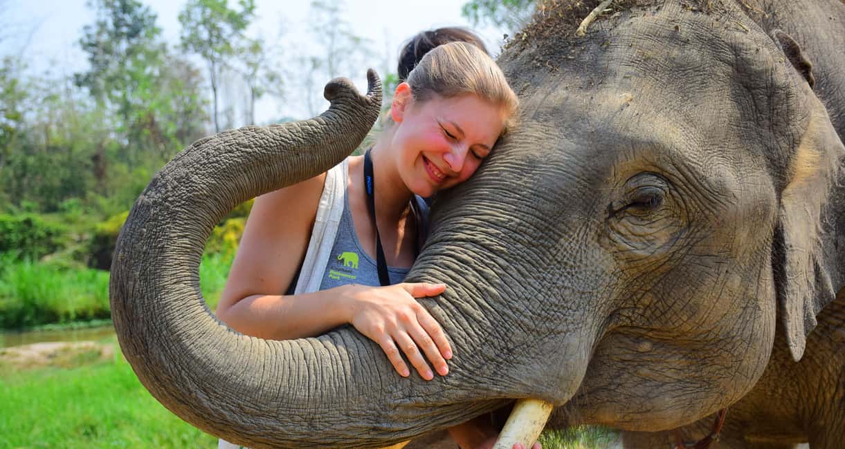 image n.2 of From Chiang Mai: Elephant Care Program and Nursery Tour activity in Chiang Mai, uploaded by supplier