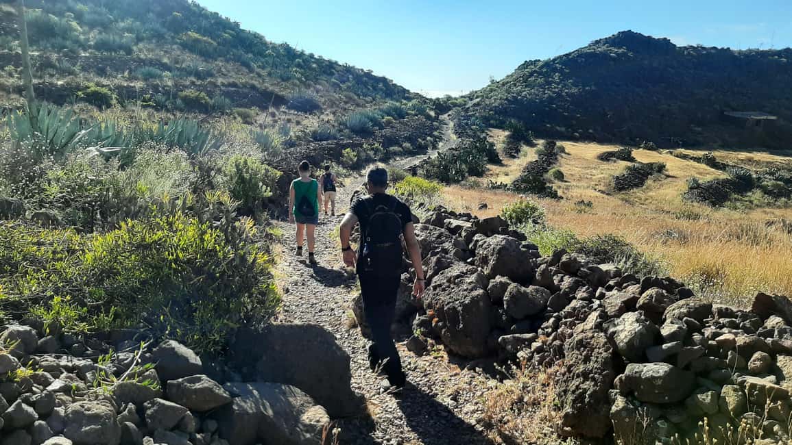 image n.3 of Maspalomas: Barranco de las Vacas & Caves with Sky Rebels activity in Agüimes, uploaded by supplier