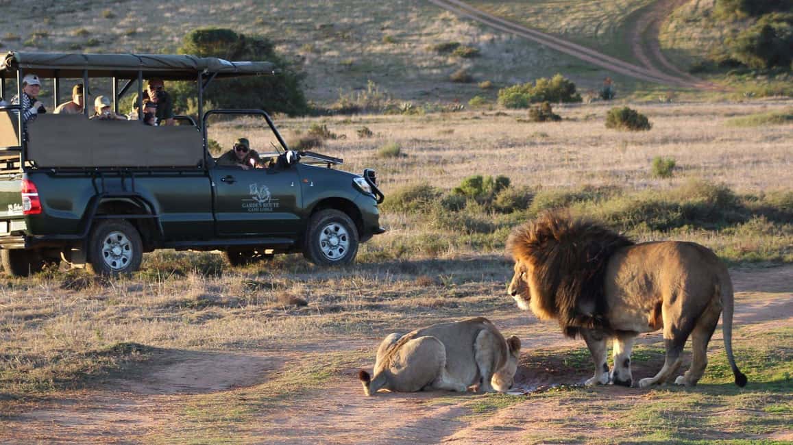 image n.1 of From Cape Town: 2-Day Safari at Garden Route Game Lodge activity in Bredasdorp, uploaded by supplier