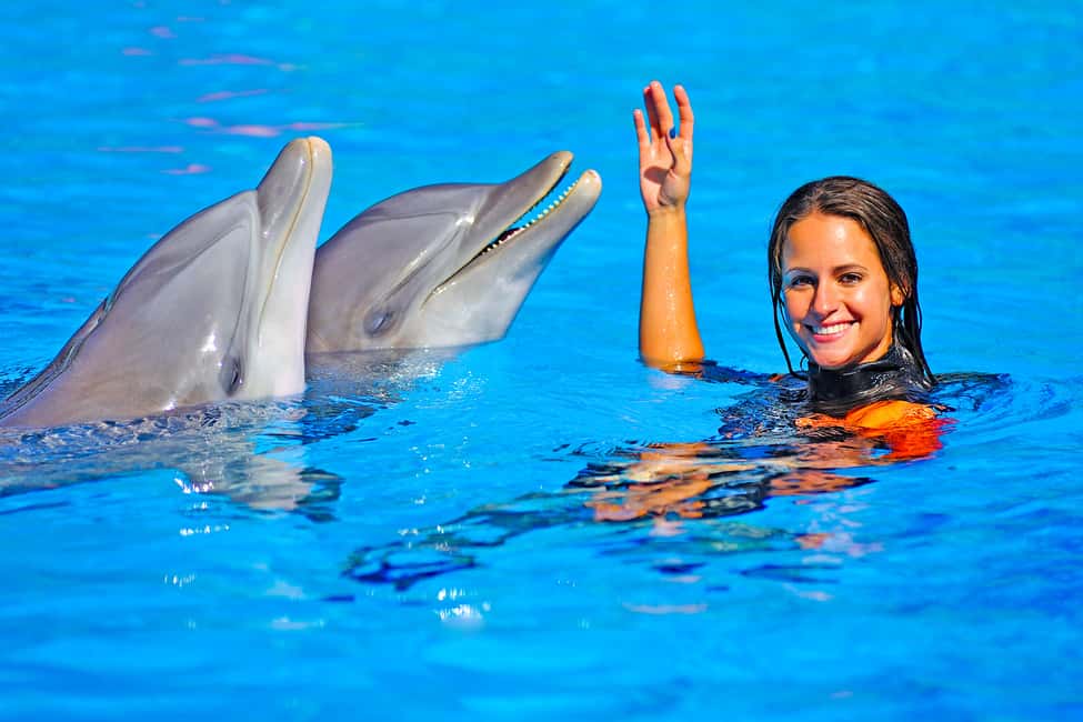 image n.8 of Algarve Zoomarine Ticket and Dolphin Emotions Experience activity in Albufeira, uploaded by supplier