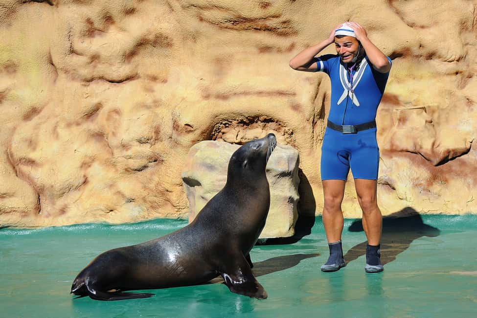 image n.14 of Algarve Zoomarine Ticket and Dolphin Emotions Experience activity in Albufeira, uploaded by supplier