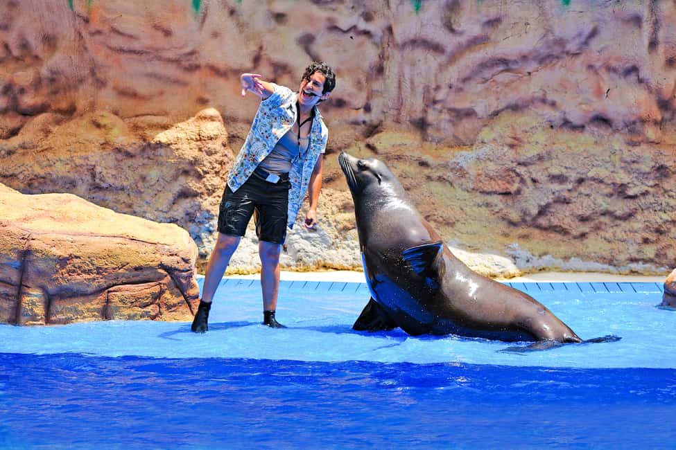 image n.24 of Algarve Zoomarine Ticket and Dolphin Emotions Experience activity in Albufeira, uploaded by supplier