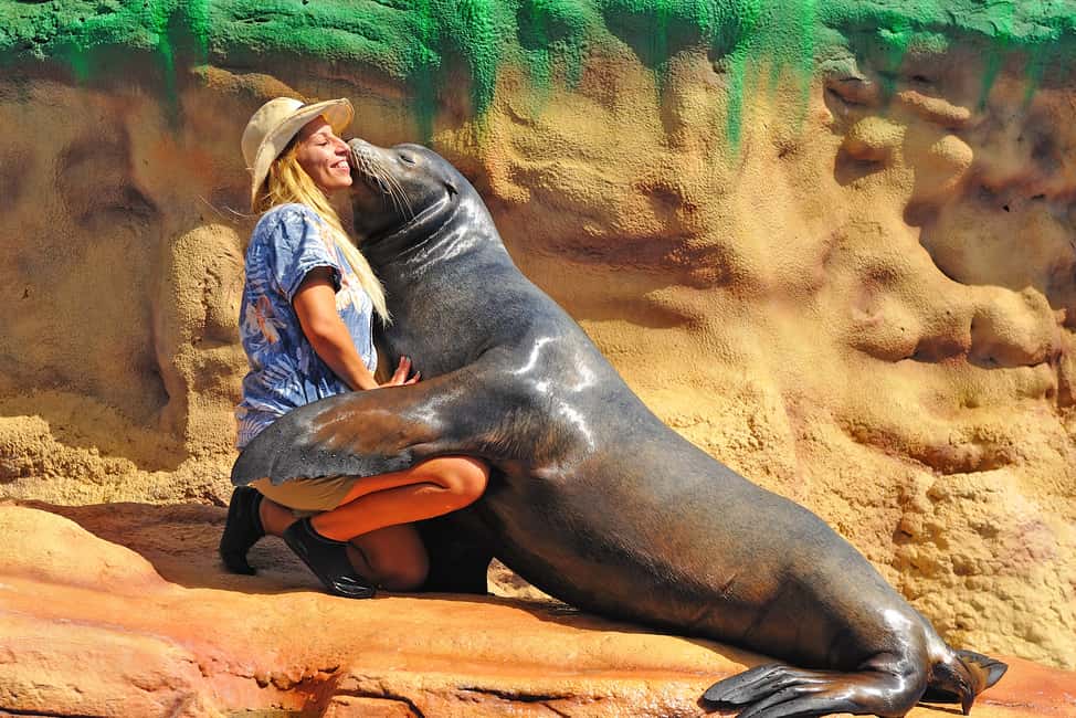 image n.26 of Algarve Zoomarine Ticket and Dolphin Emotions Experience activity in Albufeira, uploaded by supplier