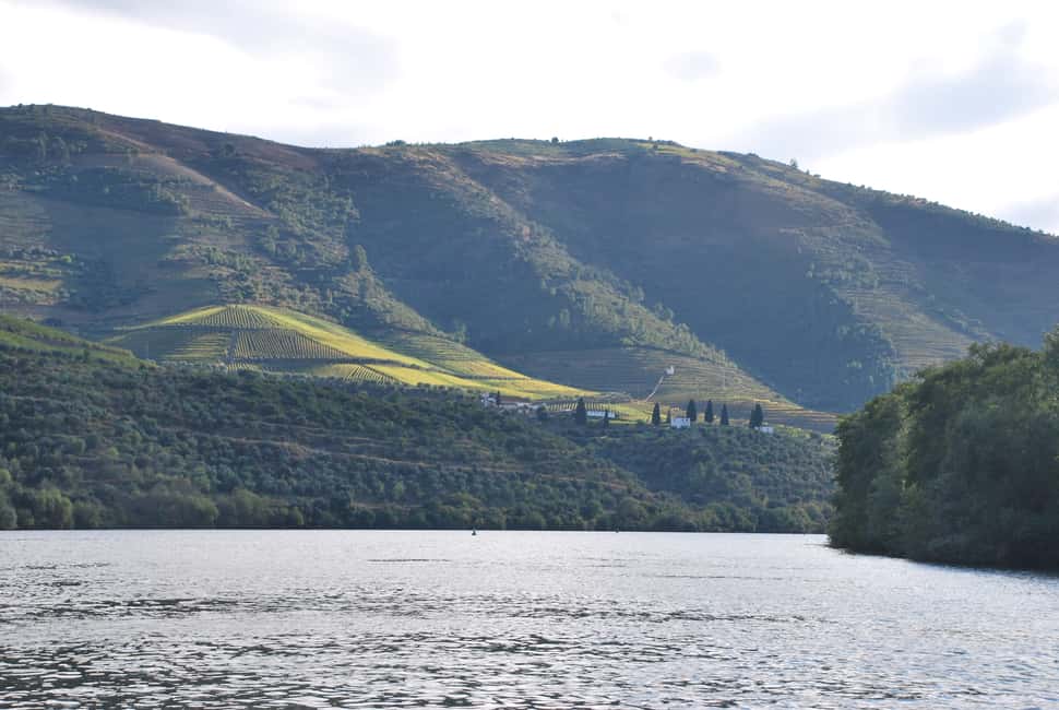 image n.8 of Pinhão: 2-Hour Rabelo Boat Tour with Audio Guide activity in Norte Region, uploaded by supplier