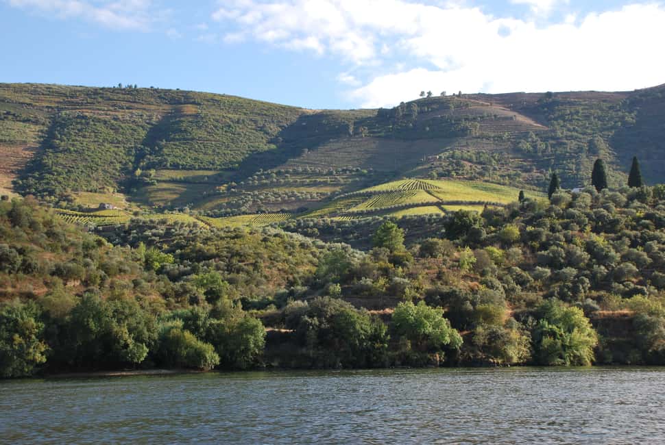 image n.9 of Pinhão: 2-Hour Rabelo Boat Tour with Audio Guide activity in Norte Region, uploaded by supplier