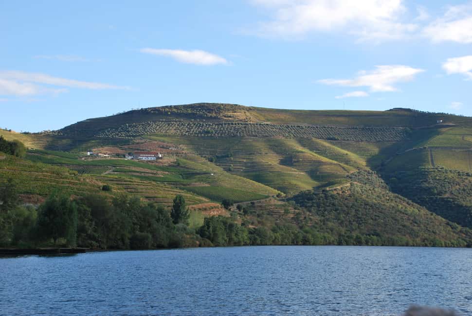 image n.10 of Pinhão: 2-Hour Rabelo Boat Tour with Audio Guide activity in Norte Region, uploaded by supplier