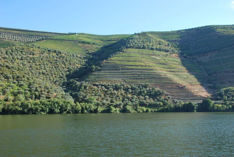 image n.4 of Pinhão: Rabelo Boat 1-Hour Tour activity in Norte Region, uploaded by supplier