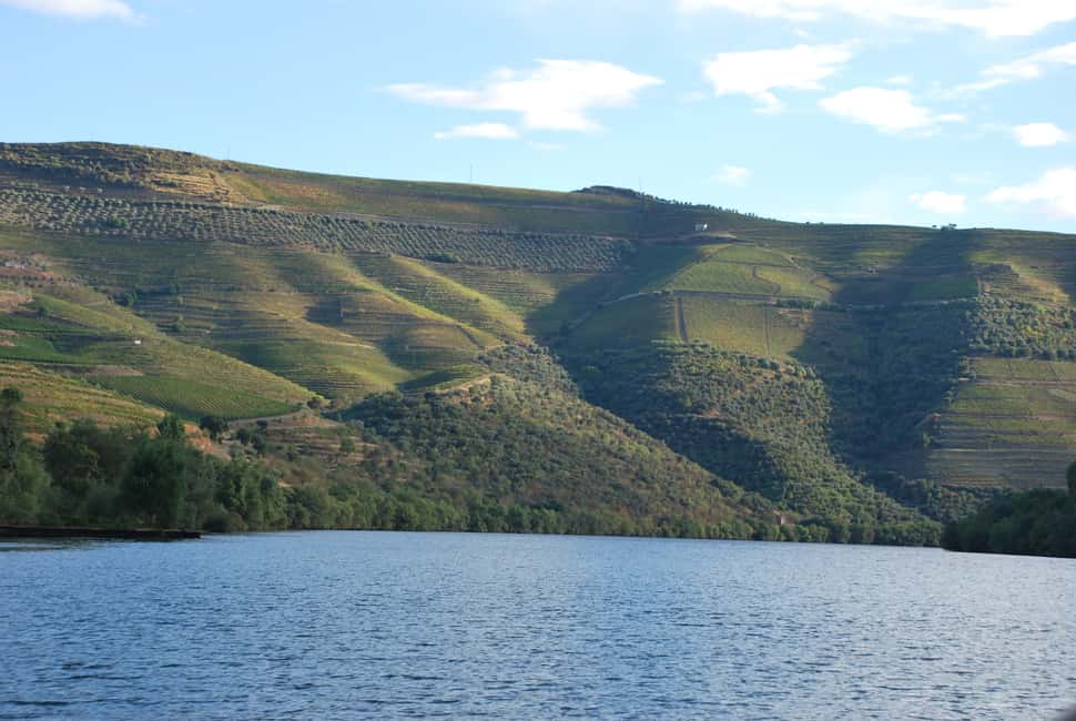 image n.5 of Pinhão: Rabelo Boat 1-Hour Tour activity in Norte Region, uploaded by supplier