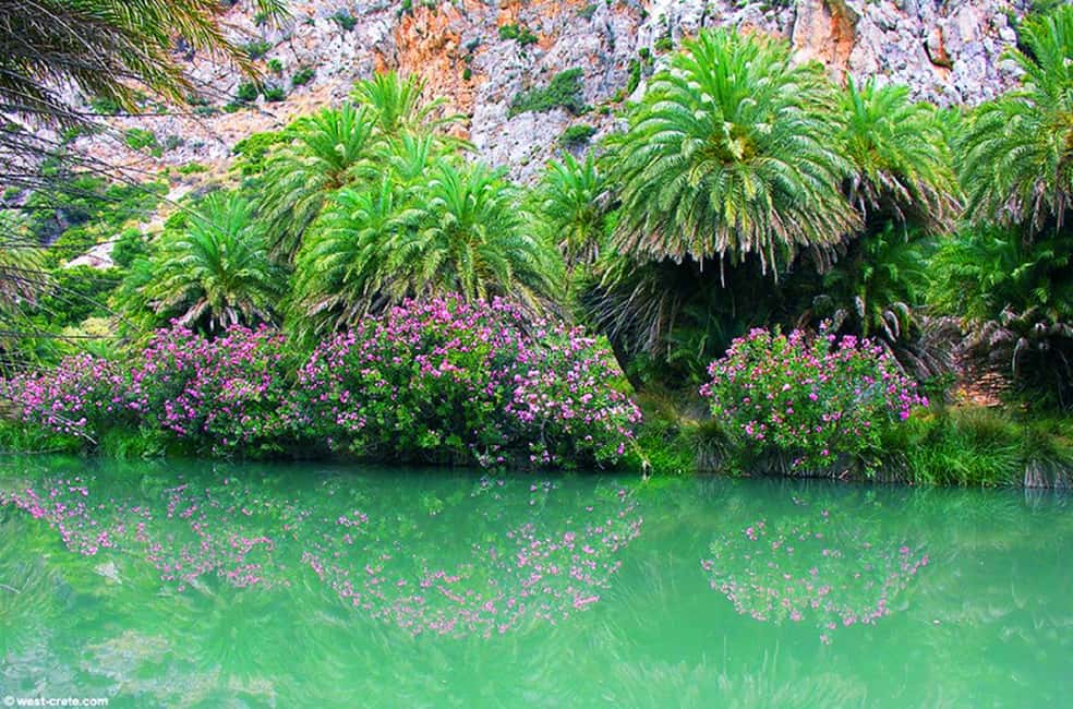 image n.5 of Rethymno/Chania: Preveli Beach and Kourtaliotiko Gorge Tour activity in Crete, uploaded by supplier