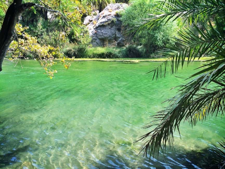 image n.6 of Rethymno/Chania: Preveli Beach and Kourtaliotiko Gorge Tour activity in Crete, uploaded by supplier
