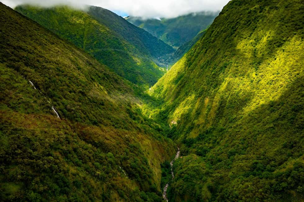 Immagine nº 3 di Safari delle cascate e delle valli della costa di Hamakua attività a Hilo, caricata dal fornitore