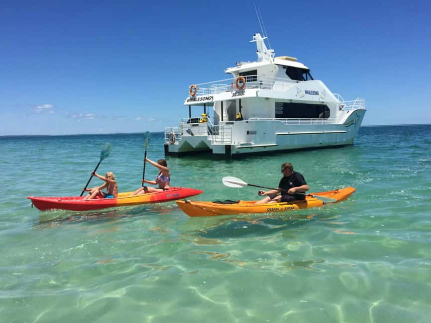 image n.8 of From Hervey Bay: Half-Day K'gari Fraser Island Beach Cruise activity in Queensland, uploaded by supplier