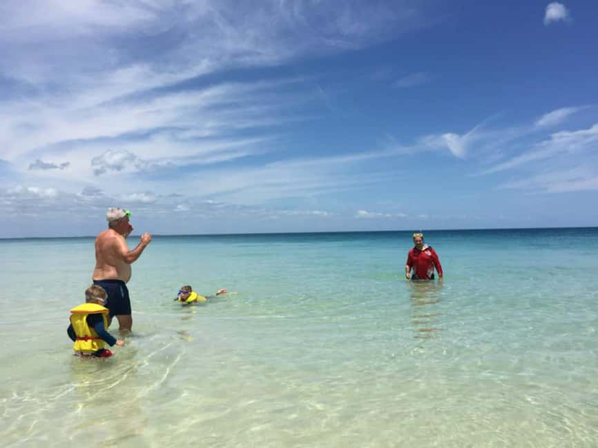 image n.7 of From Hervey Bay: Half-Day K'gari Fraser Island Beach Cruise activity in Queensland, uploaded by supplier