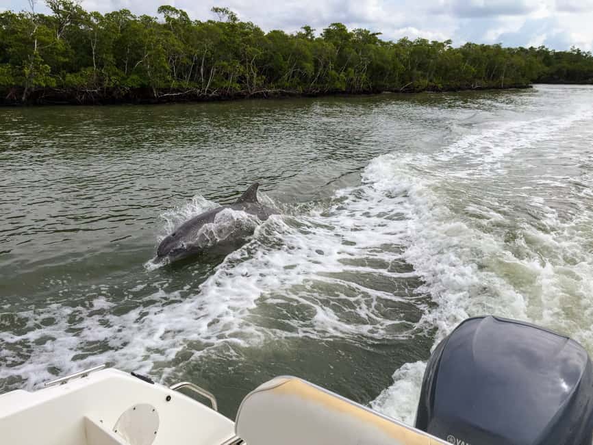 image n.3 of Miami: Everglades Full-Day Tour with 2 Boat Trips and Lunch activity in Florida, uploaded by supplier