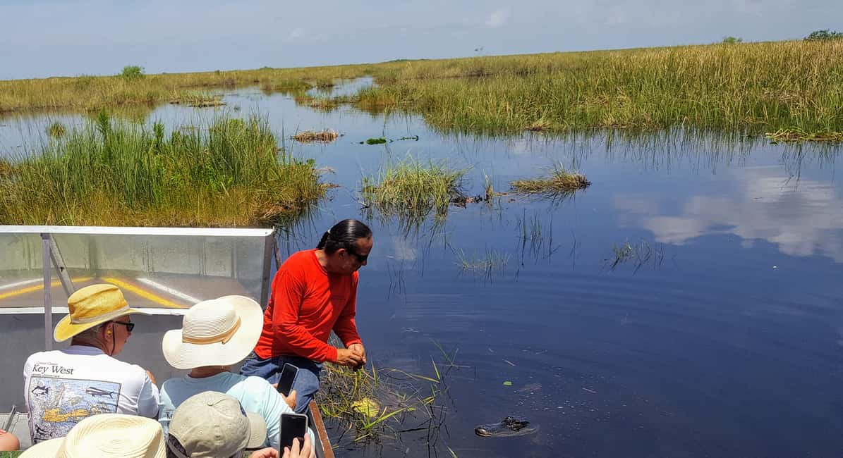 image n.7 of Miami: Everglades Full-Day Tour with 2 Boat Trips and Lunch activity in Florida, uploaded by supplier