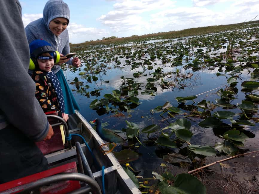 image n.9 of Miami: Everglades Full-Day Tour with 2 Boat Trips and Lunch activity in Florida, uploaded by supplier