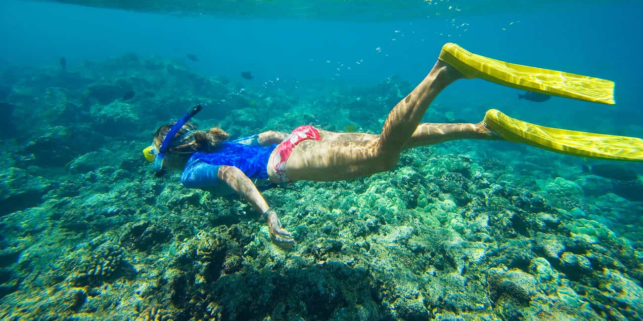 bild nr.6 av Florida Keys: Heldagsäventyr med kajak och snorkling vid korallrev aktivitet i Florida, uppladdad av arrangören