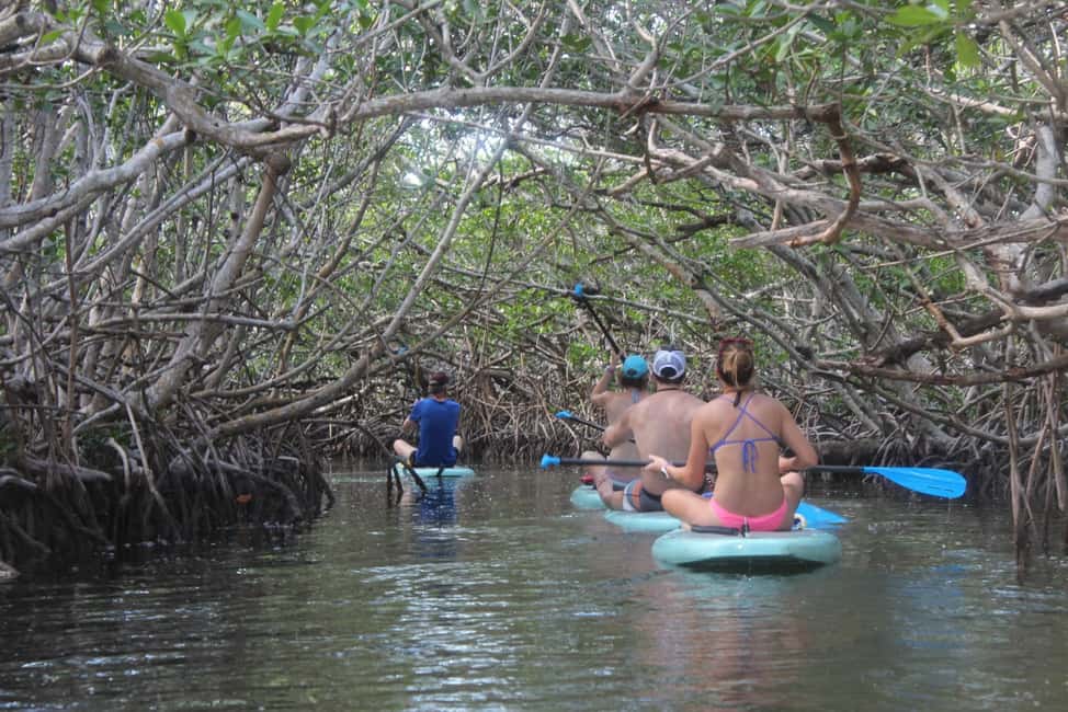 bild nr.7 av Florida Keys: Heldagsäventyr med kajak och snorkling vid korallrev aktivitet i Florida, uppladdad av arrangören